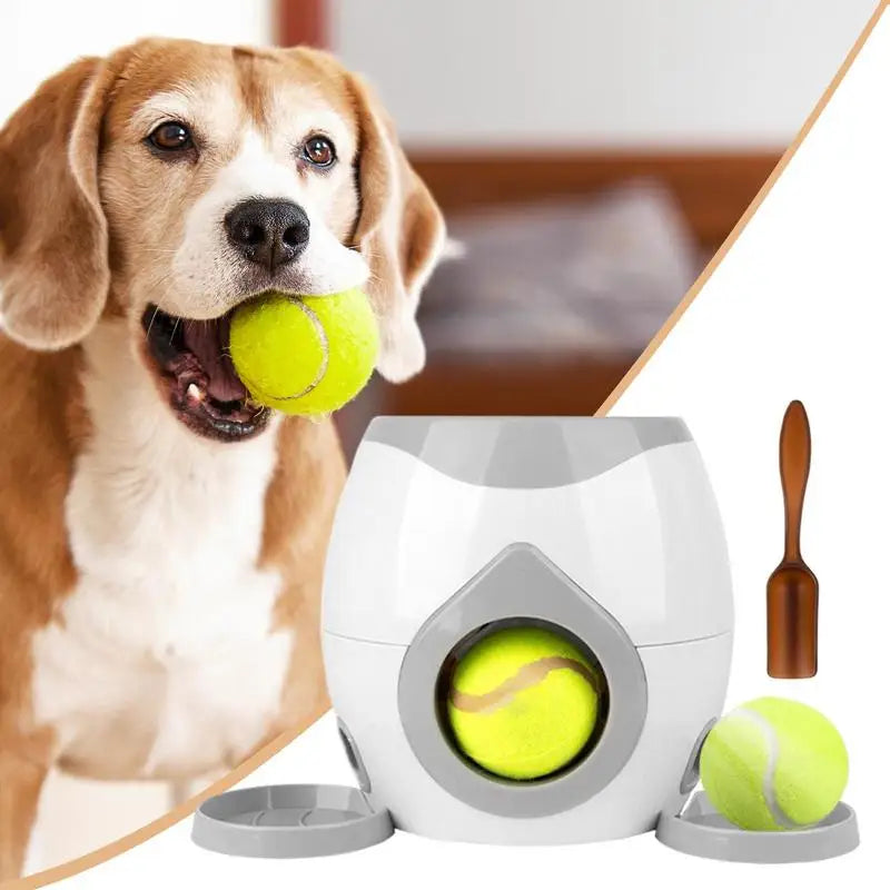 Brinquedo Interativo Lançador de Bolas –Com Dispenser de Petiscos | Duty™