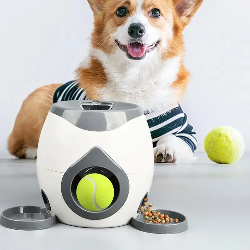 Brinquedo Interativo Lançador de Bolas –Com Dispenser de Petiscos | Duty™