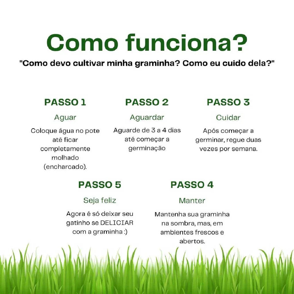 Graminha Natural para Gatos – Bem-estar, estímulo e alívio do estresse