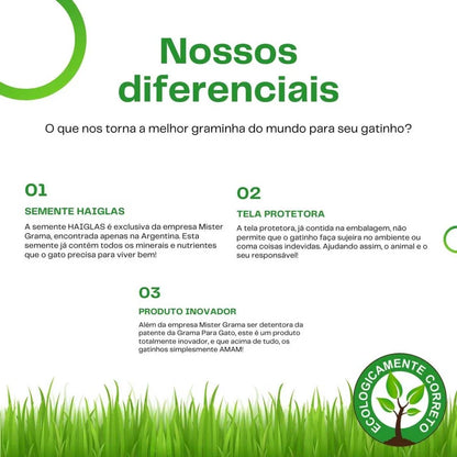 Graminha Natural para Gatos – Bem-estar, estímulo e alívio do estresse